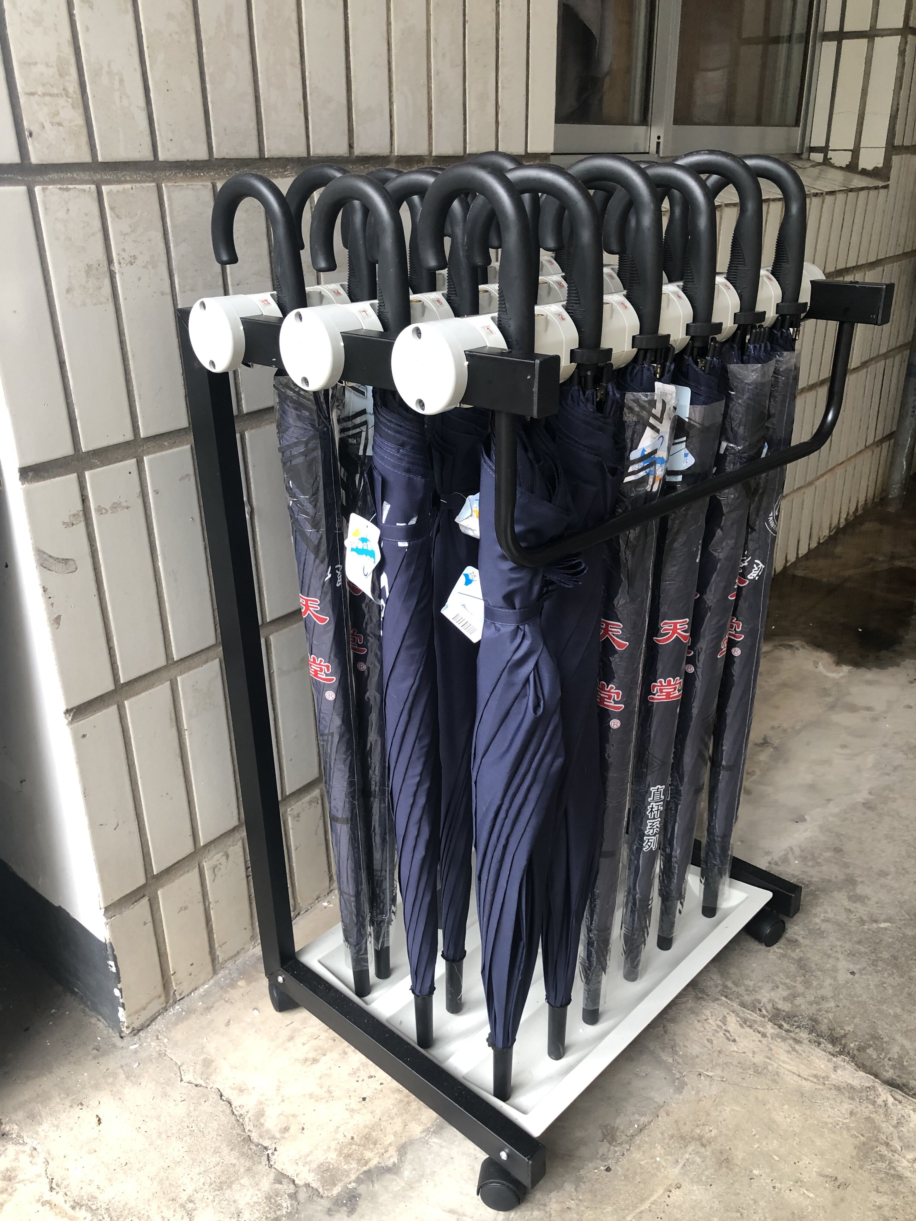 雨伞1.jpg